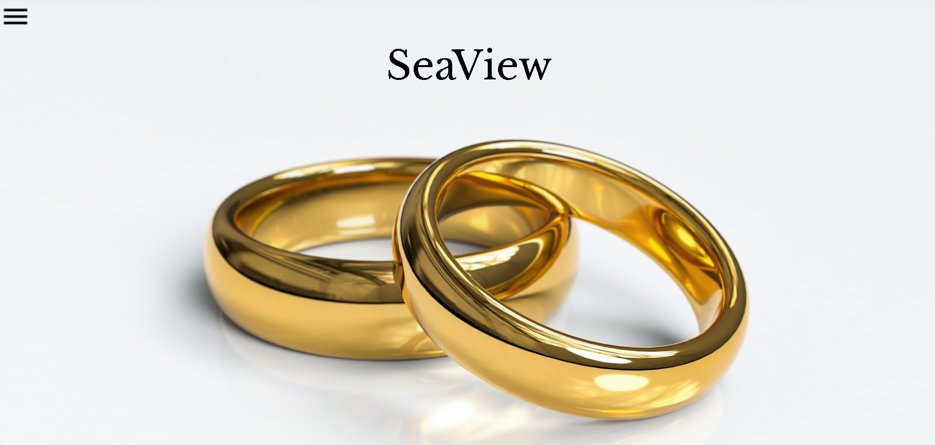ホームページ-SeaView-